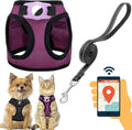 Dog Harness with AirTag Holder & 5 ft Leash Set for Small Dogs