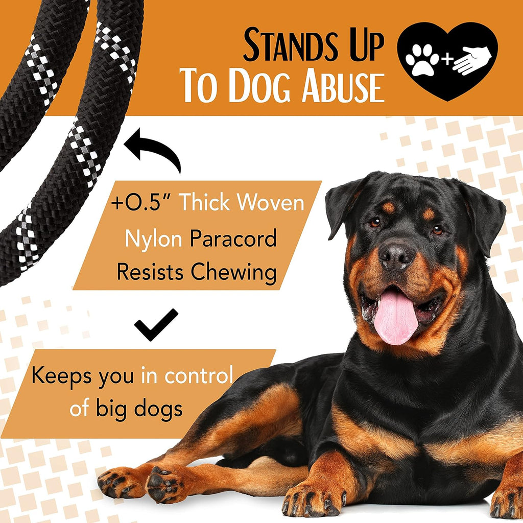 Dog Leash, Reflective Rope, Chew Resistant Paracord for Medium and Large Dogs, Durable Metal Clasp, Attaches to Pet Collar (5 Foot, Black)