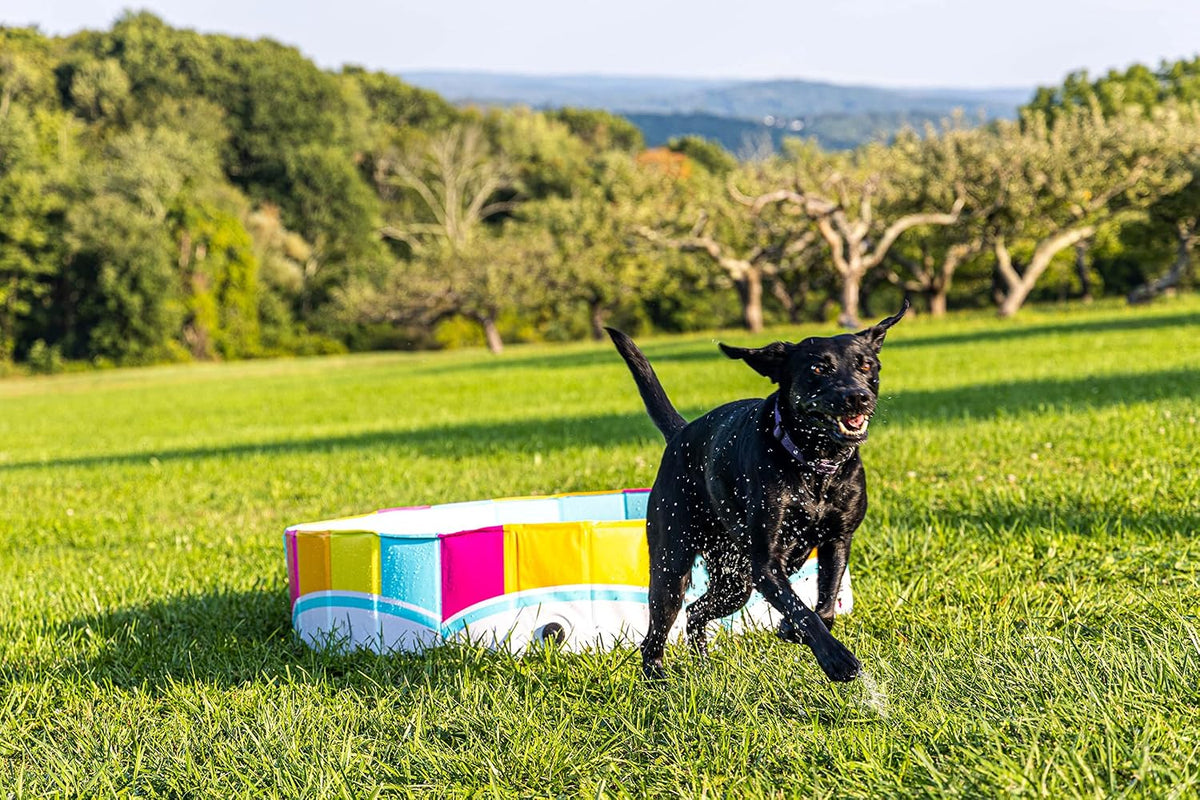 Foldable Dog Pool Collapsible Hard Plastic Pet Swimming Pool Portable Dog Bath Tub Kiddie for Small Medium Dogs Cats Kids 47" Rainbow