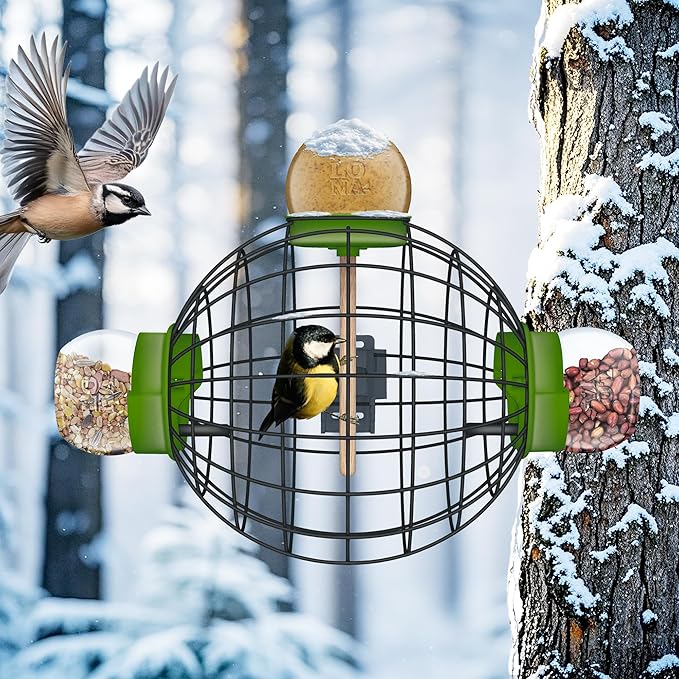 LONA Squirrel Proof Bird Feeding Cage - Image 4