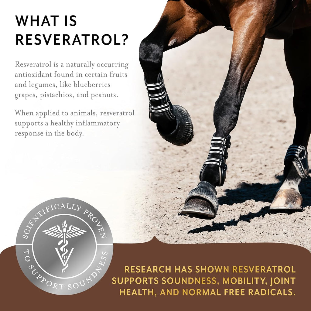 Equithrive Original Joint Powder Horse Supplement, 2 lbs