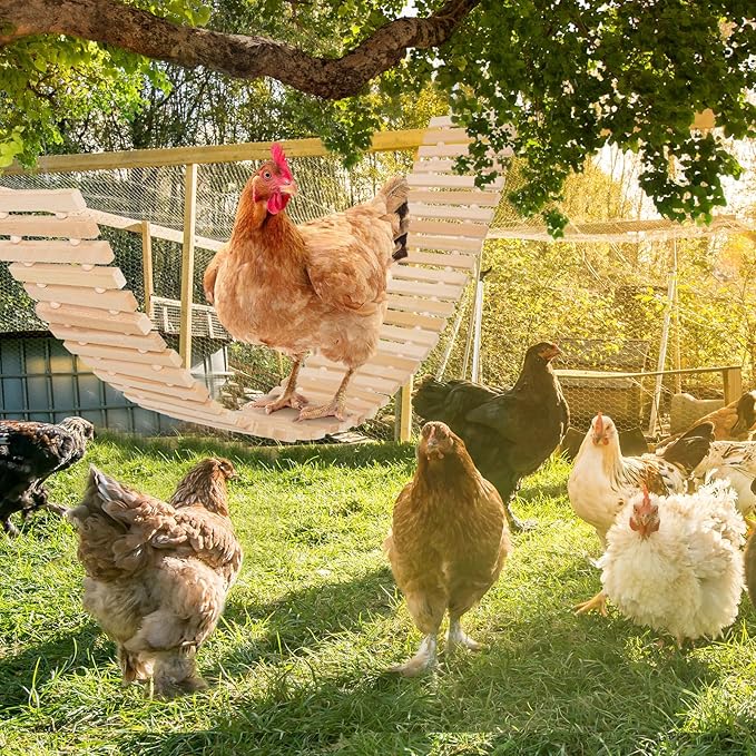 Jorewood Chicken Coop Toy Natural Wooden Chicken Swing & Bridge Toys - Image 6