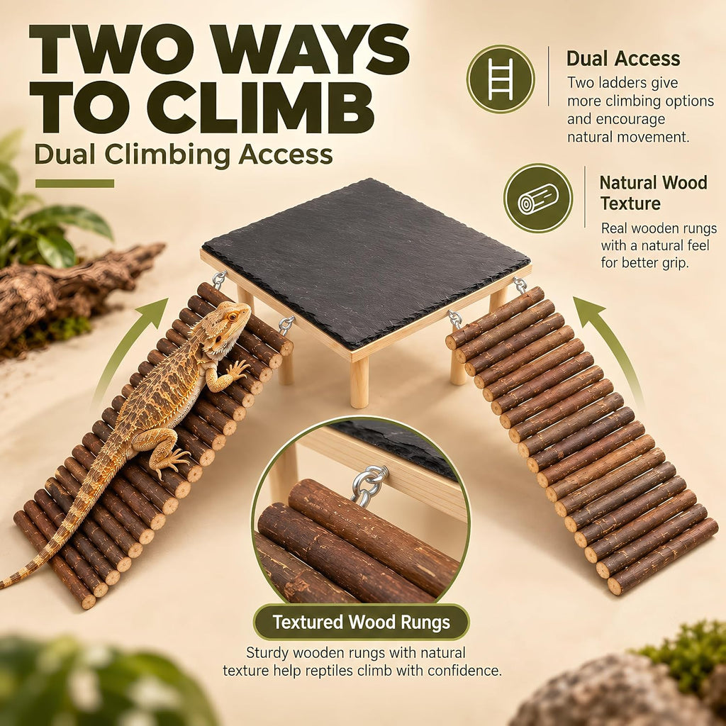 Bearded Dragon Basking Platform with 2 Wooden Climbing Ramp