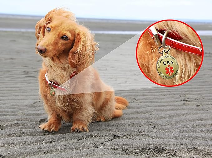 Double Sided Small Breed Emotional Support Animal ESA Tag Red Medical Alert - Image 4