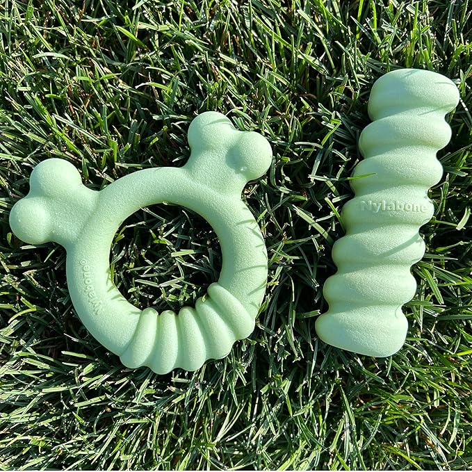 Nylabone Sensory Material Soothing Puppy Chew Toy Bundle, Toys - Image 11