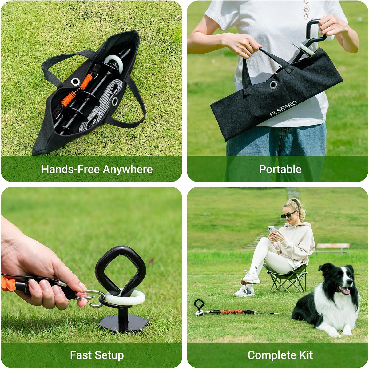 Glow Dog Tie Out Cable and Stake & Shock-Absorbing Bungee Tether