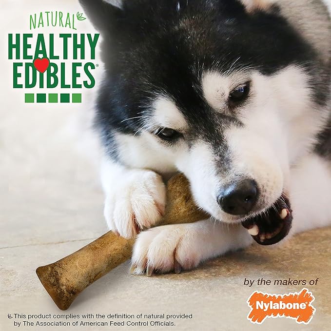 Nylabone Healthy Edibles Natural Dog Chews, Long Lasting Bones - Image 6