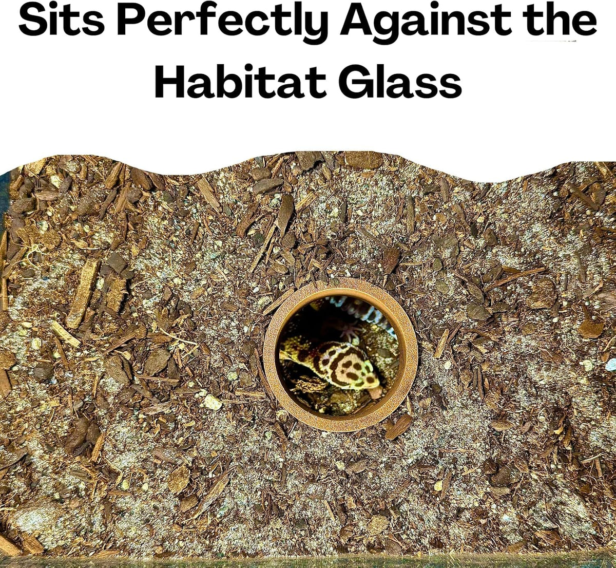 Reptile Underground Cave Viewing Hide | Hognose Snake Leopard Gecko Hide Habitat Tank Enrichment | Reptile Decoration Accessories Supplies Toys Ornaments