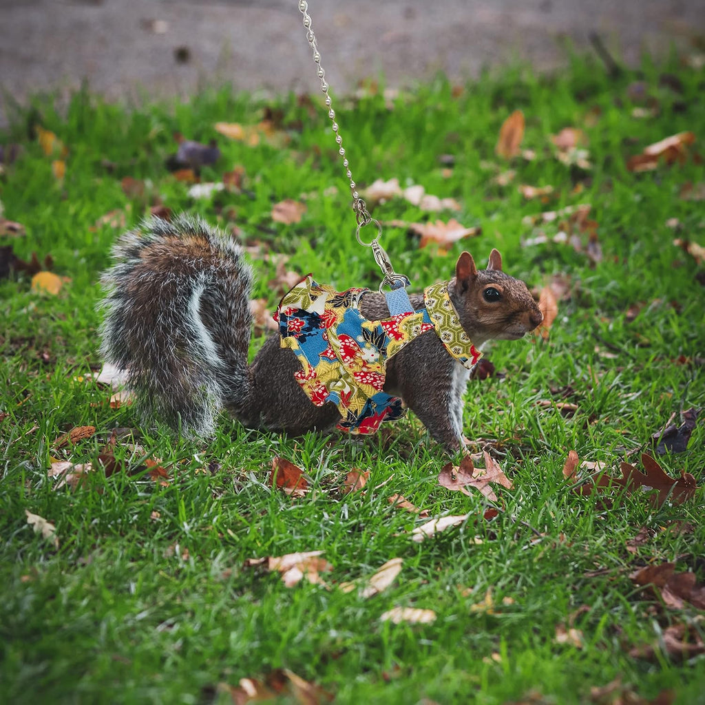 Squirrel Harness and Leash Set, Adjustable Flora Blue Printing, for Ferret, Squirrel, Dwarf Chinchilla, Guinea Pig, Fancy Rat