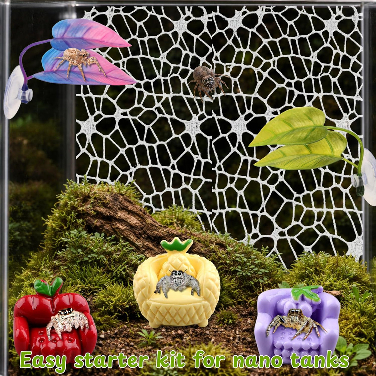 Jumping Spider Terrarium Enclosure Decor Decorations, Climbing Web with 3pcs Fruit Chairs and 2pcs Leaf Ledge, Enclosure Climbing Accessories, Mini Terrarium Decorations Kit