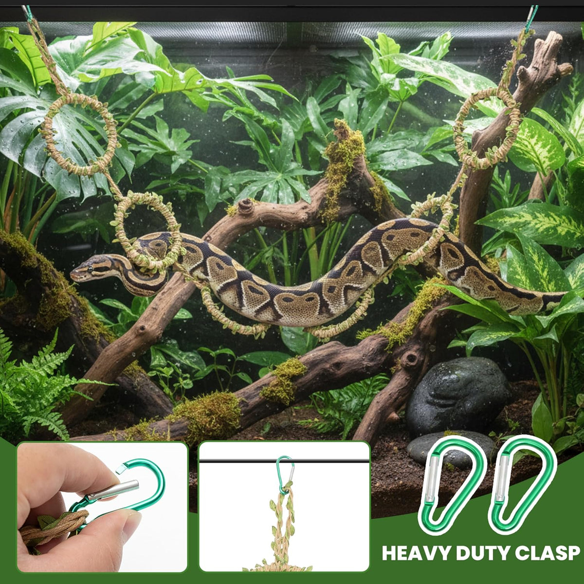 Snake Climbing Rings for Ball Python & Corn Snake, Reptile Toys