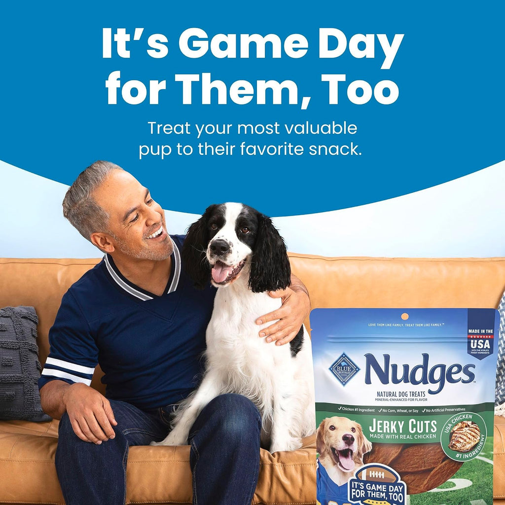 Blue Buffalo Nudges Jerky Cuts Natural Game Day Football Dog Treats, Chicken Jerky, Made with Real USA Chicken, 10oz Bag
