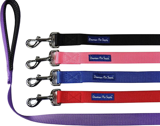Downtown Pet Supply 2ft Heavy-Duty Dog Leash - Image 2