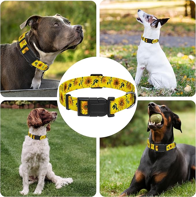 Dog Collar, Floral Puppy Collar - Image 6