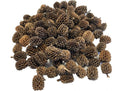 Awesome Aquatic 50 Casuarina Cones, Blackwater, Betta Shrimp Habitat
