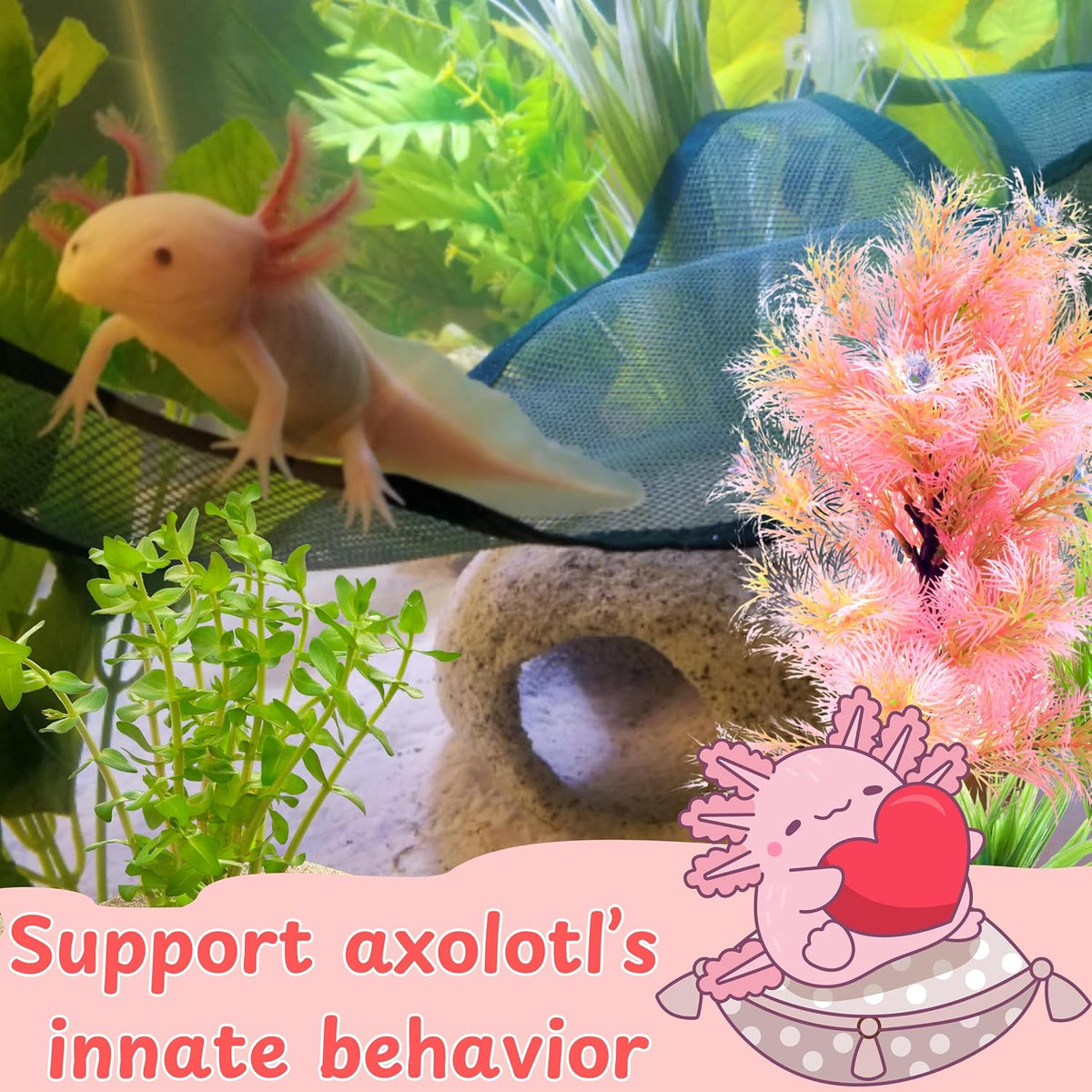 Axolotl Hammock For Aquarium with Ceramic Feeding Dish, Axolotl Hammock with Bowl, Reptile Triangle Hammocks with Tray Feeder, Axolotls Accessories For Tank, Bearded Dragon Tank Accessories (Black, S)
