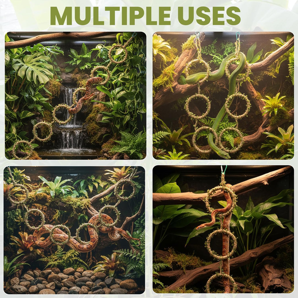 Snake Climbing Rings for Ball Python & Corn Snake, Reptile Toys