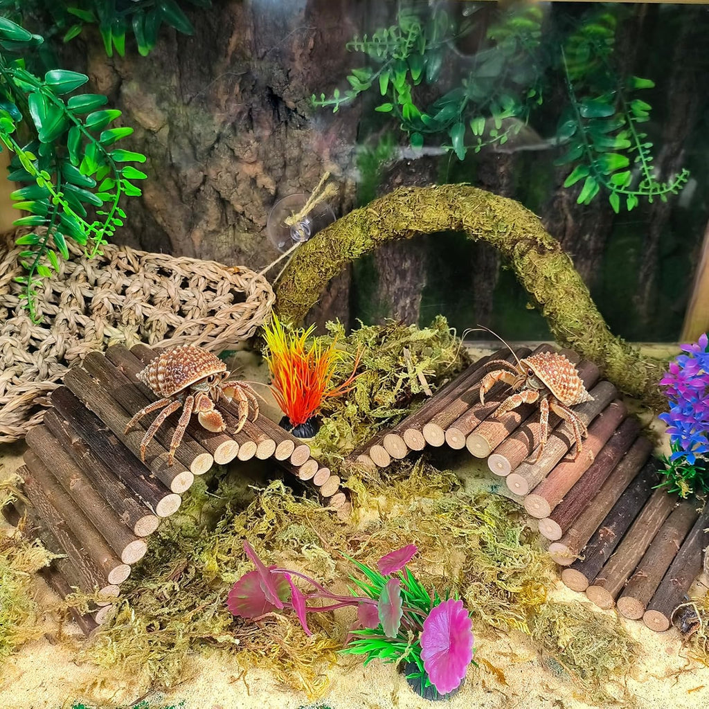 Hermit Crab Accessories,Flexible Moss Pole with Bridges Reptile Hammock