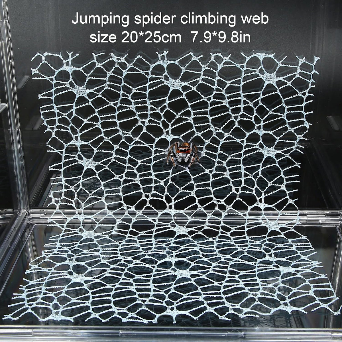 Jumping Spider Accessories, 3 Pcs Jumping Spider Natural Cotton Rope Bridge, Swing & Climbing Net Handmade Magnetic Mounting, for Medium and Small Jumping Spider Terrarium Enclosures