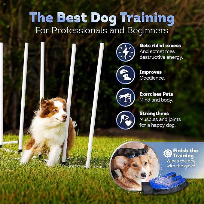 Dog Agility Course Backyard Set, Including Dog Tunnel Bags - Image 5
