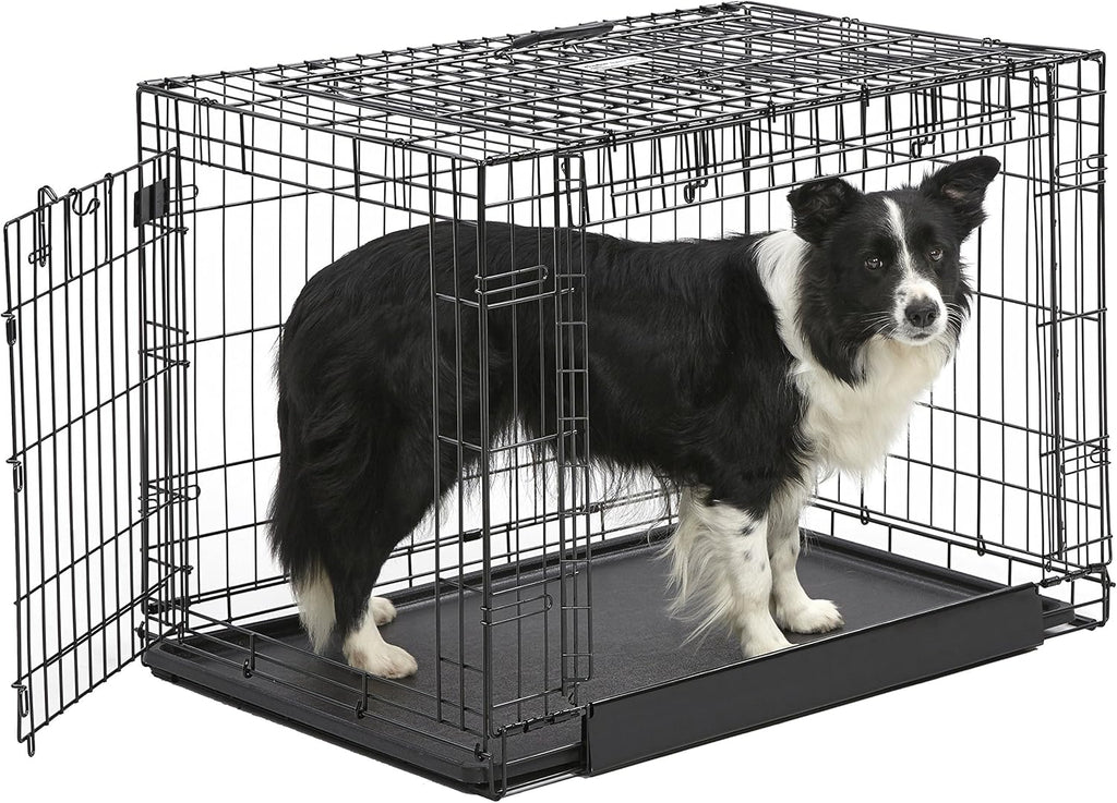 MidWest Homes for Pets Intermediate Ovation Double Door 36-inch Folding Metal Dog Crate, Front and Up & Away Side Doors, Space-Saving Design
