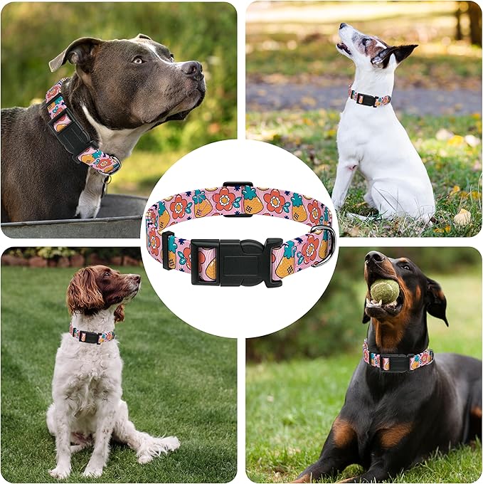 Dog Collar, Cute Cartoon Fruit Boys Girls Puppy Collar - Image 6
