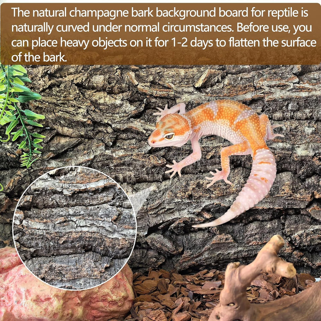 Cork Terrarium Background 11.8x7.9in 10PCS Natural Reptile Cork Bark Flats Terrarium Board Bearded Dragon Climbing Wall Mat Tank Accessories Decor for Lizard Chamelon Snake Turtle Spider Crested Gecko
