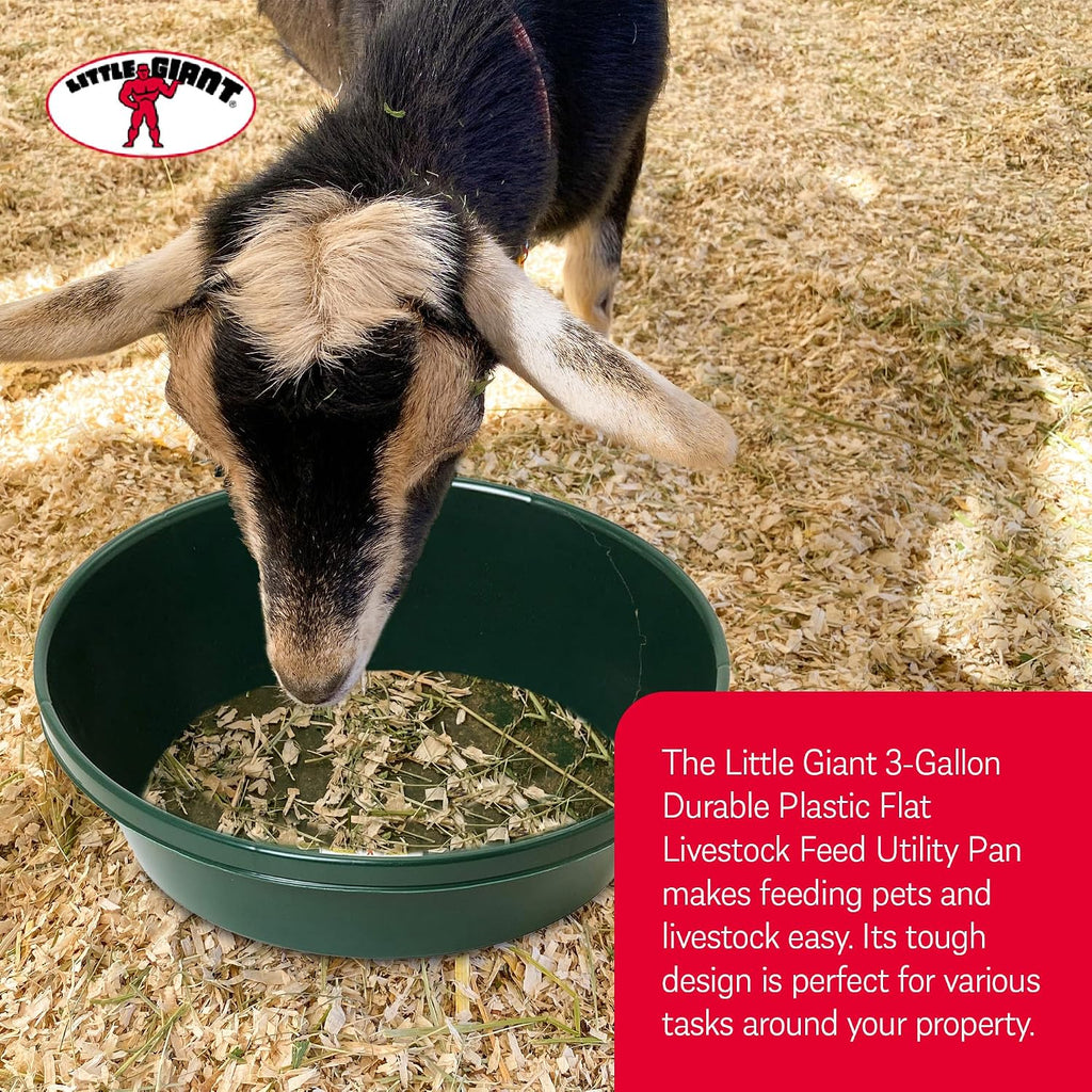 3 Gallon Plastic Utility Pan