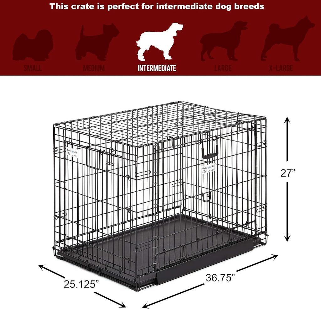 MidWest Homes for Pets Intermediate Ovation Double Door 36-inch Folding Metal Dog Crate, Front and Up & Away Side Doors, Space-Saving Design