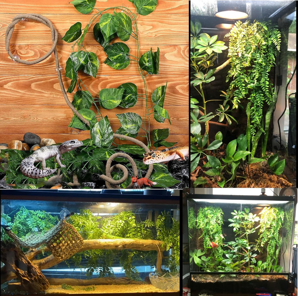 Woyrise Bearded Dragon Tank Accessories, Reptile Hammock Terrarium Decor