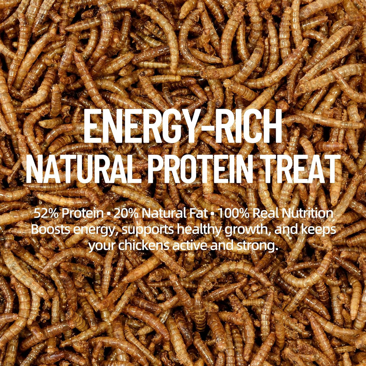 10LB Dried Mealworms