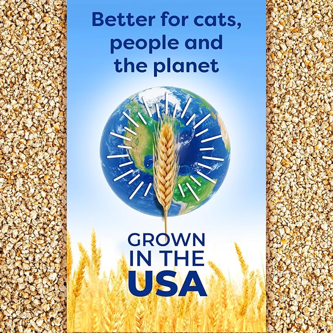 sWheat Scoop Natural Wheat Multi-Cat Litter, Superior Clumping - Image 8