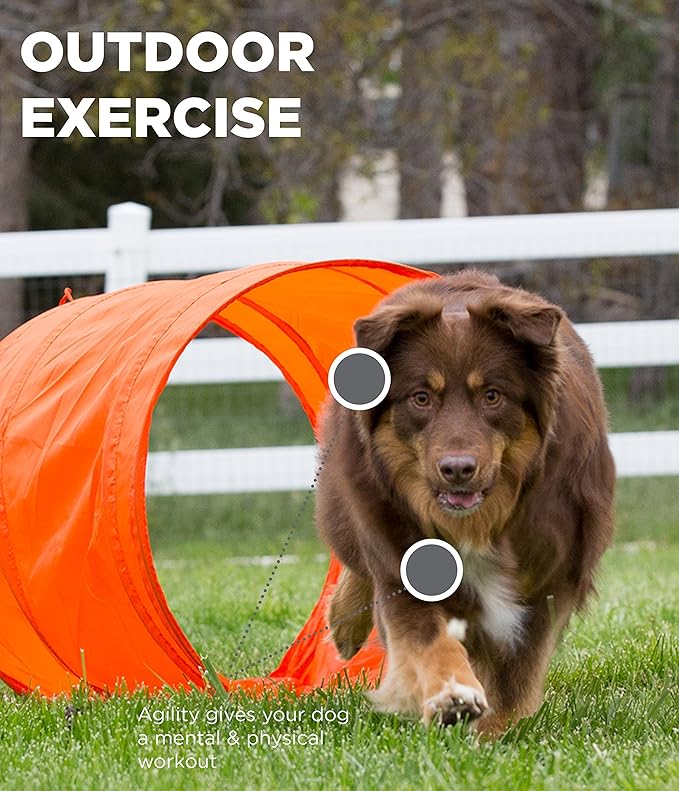 Outward Hound Zip & Zoom Outdoor Dog Agility Training Kit - Image 4