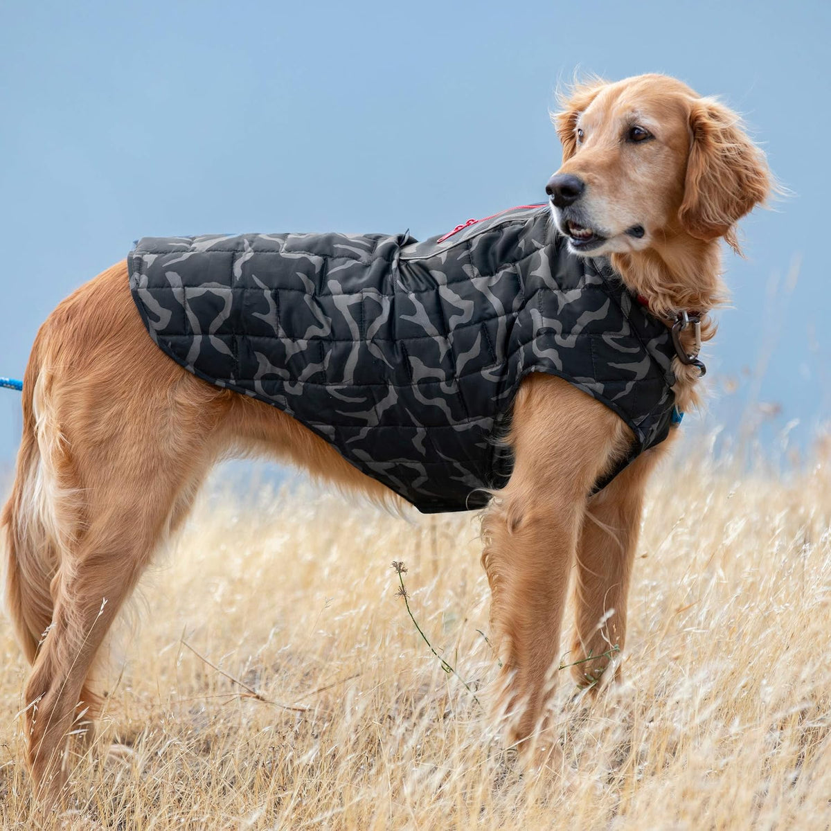 Kurgo Loft Dog Jacket, Reversible Dog Coat, Wear with Harness or Sweater, Water Resistant, Reflective, Winter Coat for Small Dogs (River Run, S)