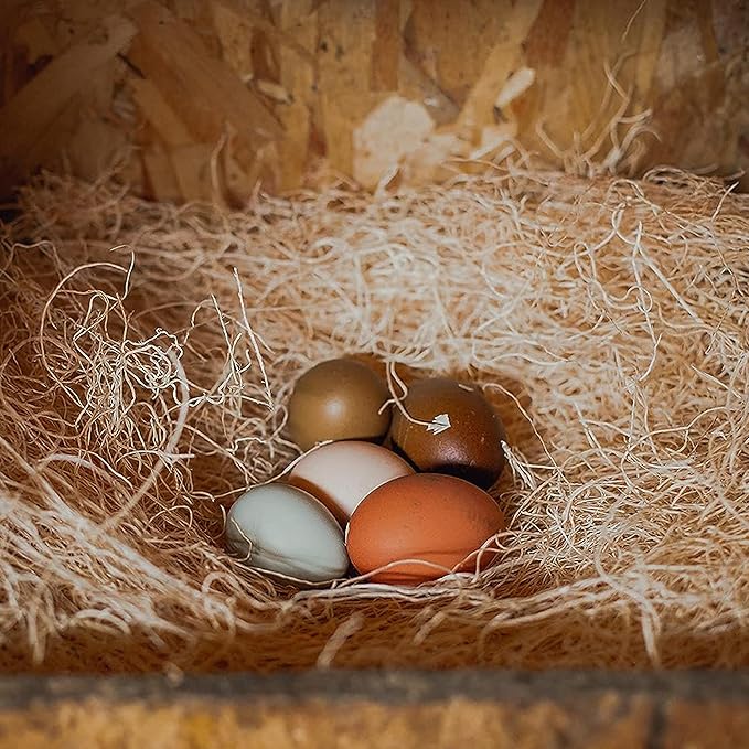 Eaton Pet and Pasture, Premium Laying Hen Nesting Pads, USA Grown & Sustainably - Image 6