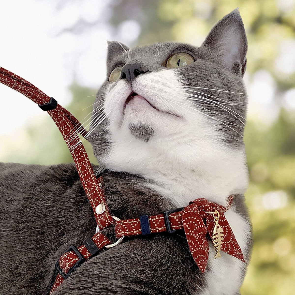 Necoichi Zen Fish Charm Cat Harness & Leash Set (Red)