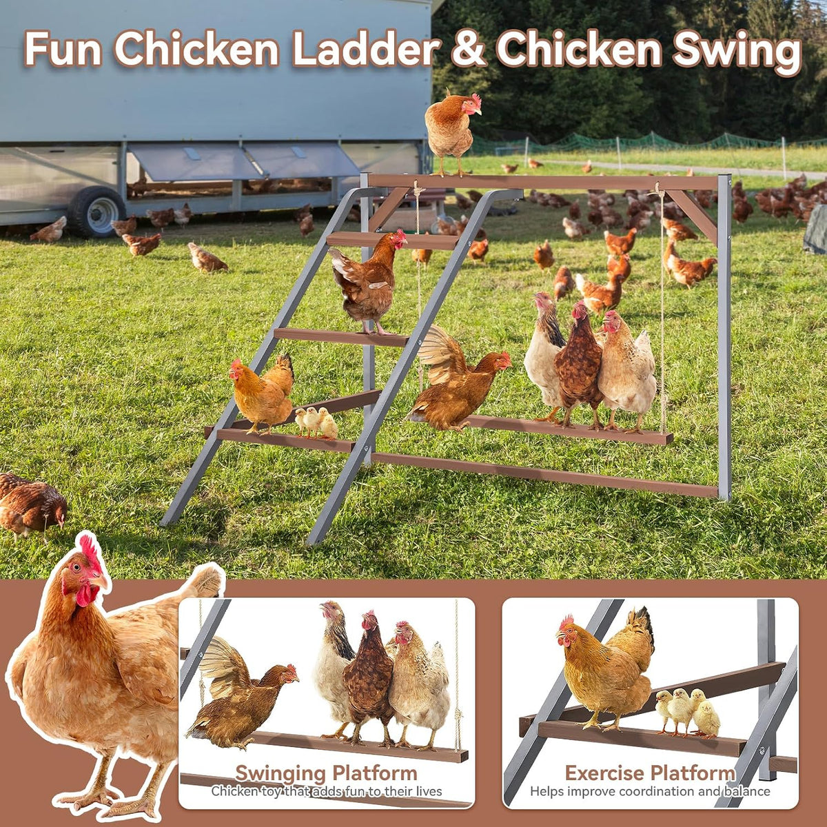 PETSFIT Chicken Perch, Solid Wood & Rustproof Iron Roosting Bar with Swing