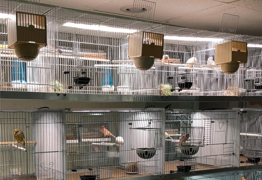 HappyBird Lightning (A Divison of M&M Cage) 18" LED linkable Light bar Without Power Source for Multiple Bird Breeder Cages, Full Spectrum LED. Will NOT Run ON ITS OWN (Single)