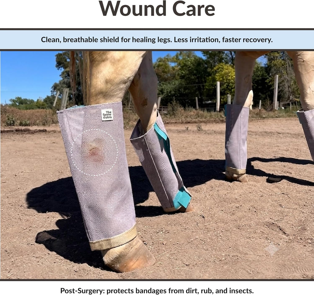TSZ Horse Fly Boots for Horses - Breathable Fly Leggings [Set of 4]