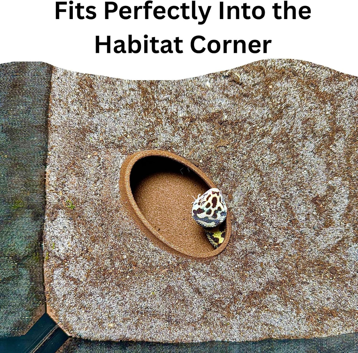 Reptile Corner Underground Cave Natural Curve Viewing Hide | Hognose Snake, Corn Snake & Leopard Gecko Hideout Reptile Habitat Tank Enrichment | Decor Decoration Accessories Supplies Toys Ornaments