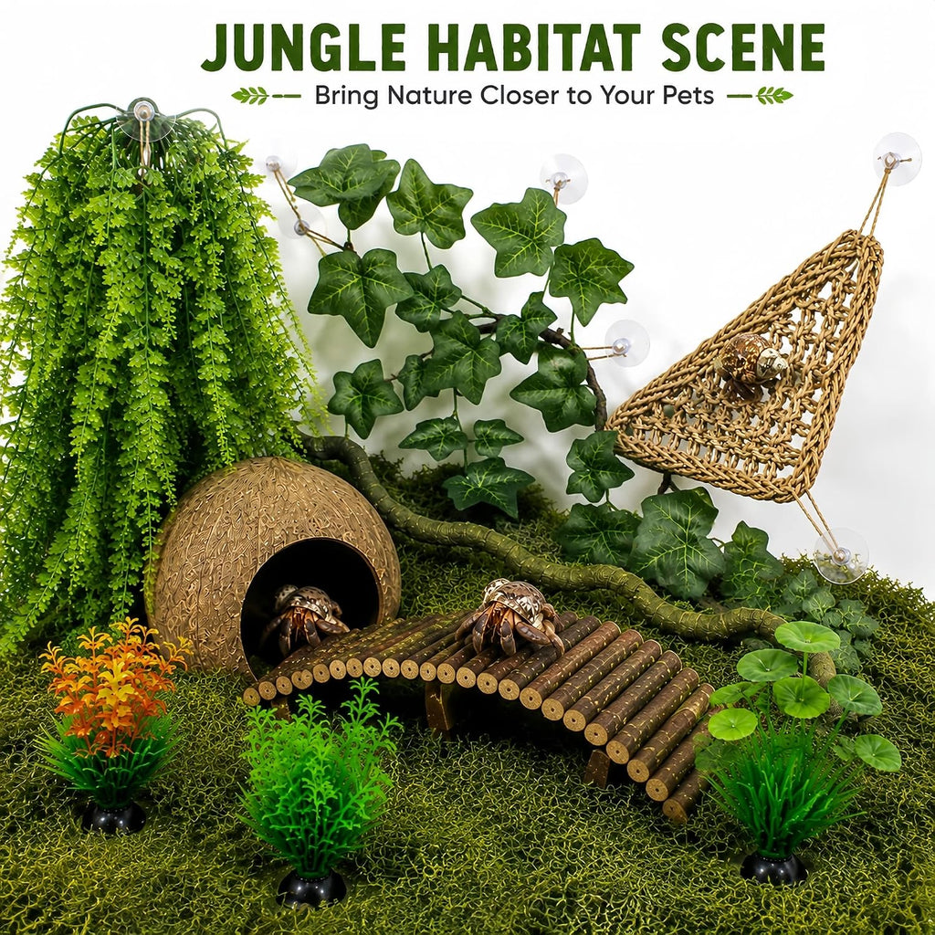 Hermit Crab Tank Accessories Kit, Coconut Hideout & Climbing Bridge