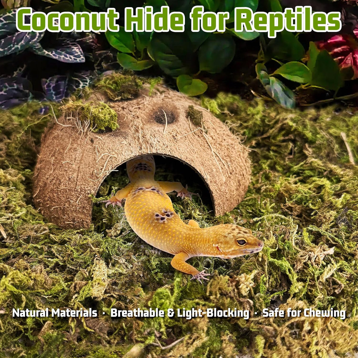Hamiledyi Coconut Hide for Reptiles, Natural Coco Hut for Hermit Crabs