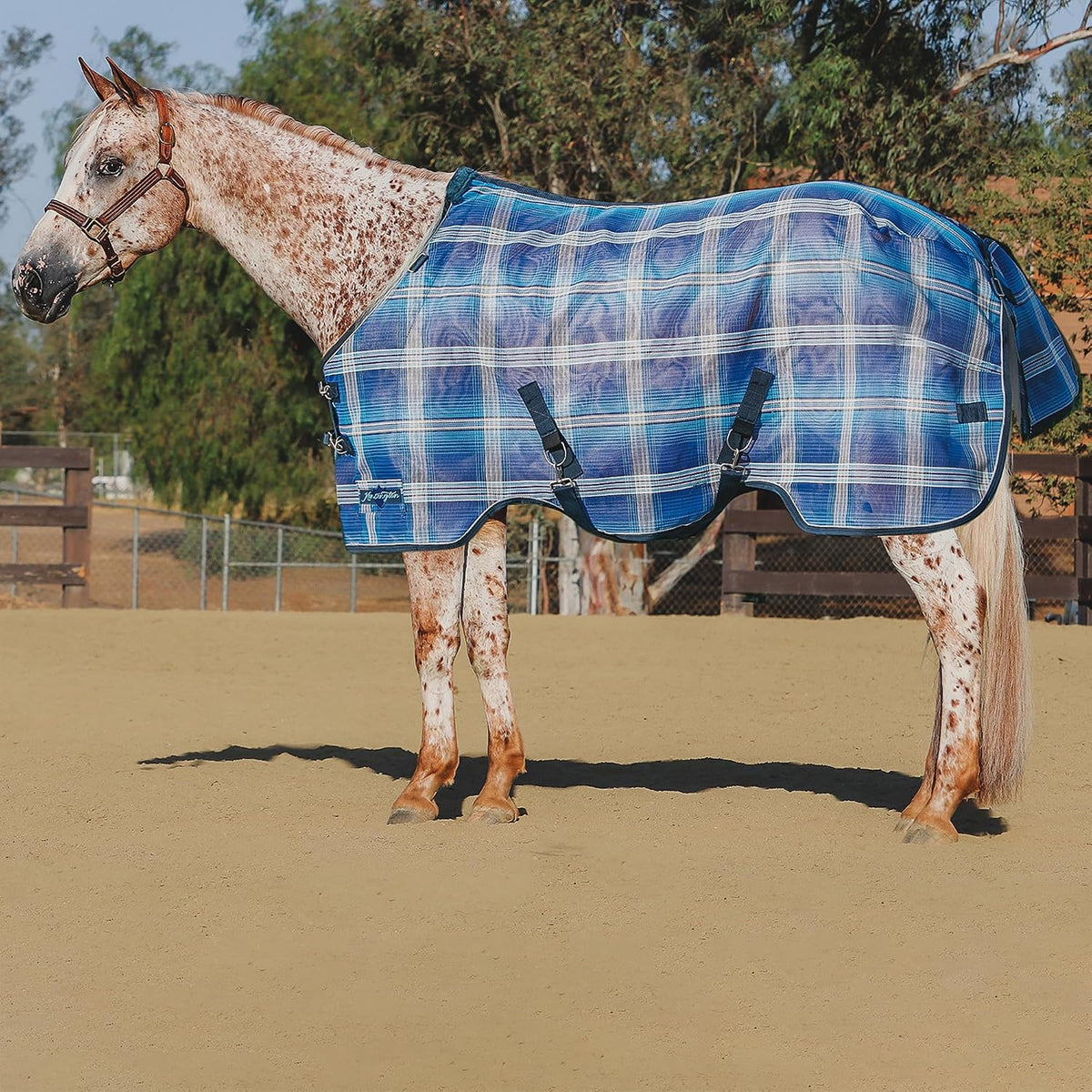 Kensington Breathable and UV Protective Sheet SureFit All Season Protection for Horse - 78", Kentucky Blue