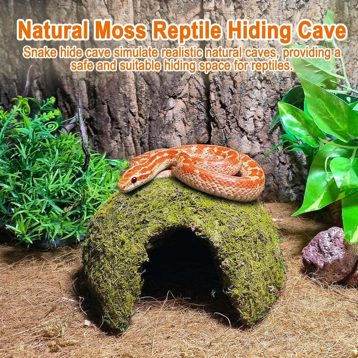 Natural Moss Reptile Hideout Cave,Leopard Gecko Humid Climbing Hide,Yellow