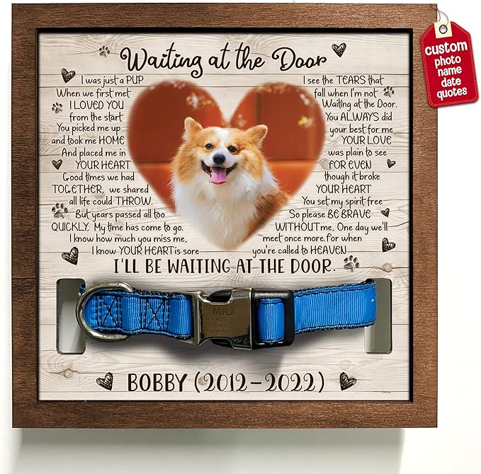 Personalized Pet Memorial Gifts Dog Memory Gifts Cat Memorial Frame Dog Died by Bfigift
