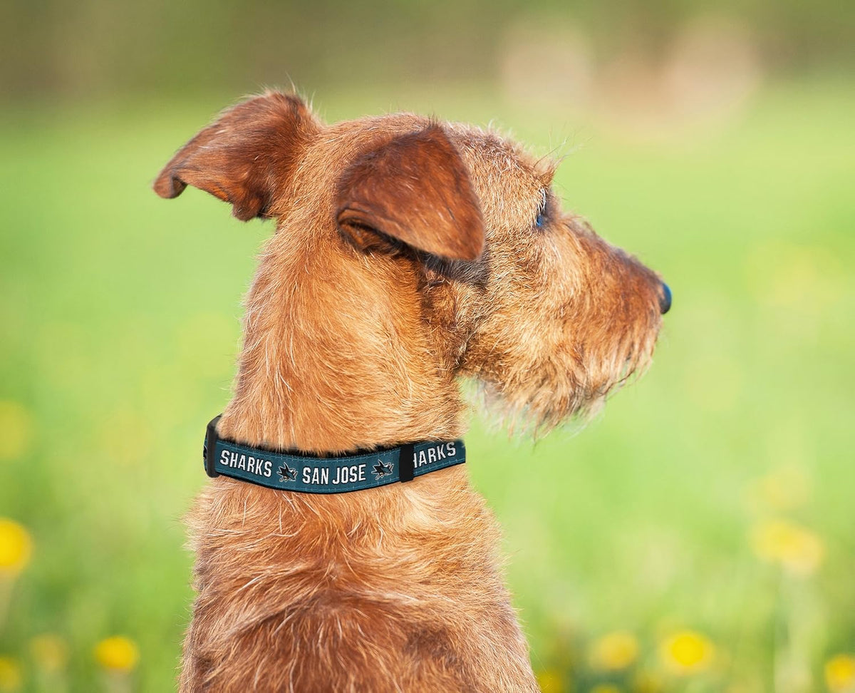 Pets First NHL Collar for Dogs & Cats. Adjustable, Cute, & Stylish! The Ultimate Hockey Fan Collar!