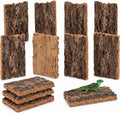 Cork Bark for Reptiles: Reptile Wood and Tree Bark Bearded Dragon Hides