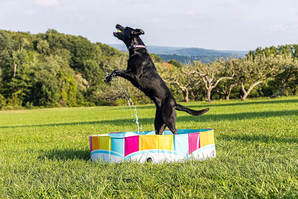Foldable Dog Pool Collapsible Hard Plastic Pet Swimming Pool Portable Dog Bath Tub Kiddie for Small Medium Dogs Cats Kids 47" Rainbow