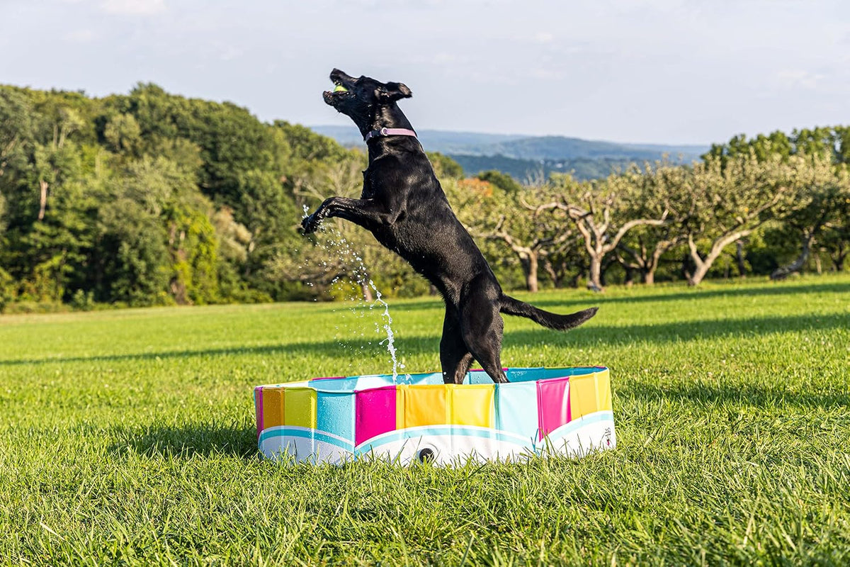 Foldable Dog Pool Collapsible Hard Plastic Pet Swimming Pool Portable Dog Bath Tub Kiddie for Small Medium Dogs Cats Kids 47" Rainbow