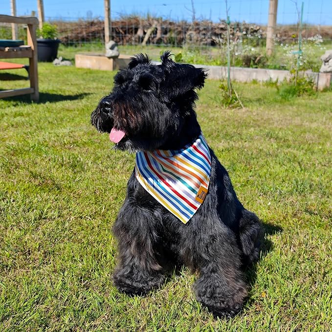 Birthday Dog Bandanas Medium Large, Colorful Sprinkle Stripes, Reversible Soft - Image 3
